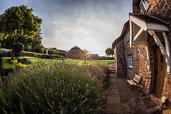 Rustic Stone Cottage with Lavender Garden Path