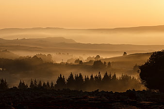 Golden Misty Mountain Landscape at Sunrise