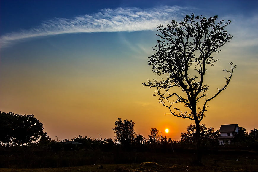 Silhouette of Tree and House Against Sunset Sky