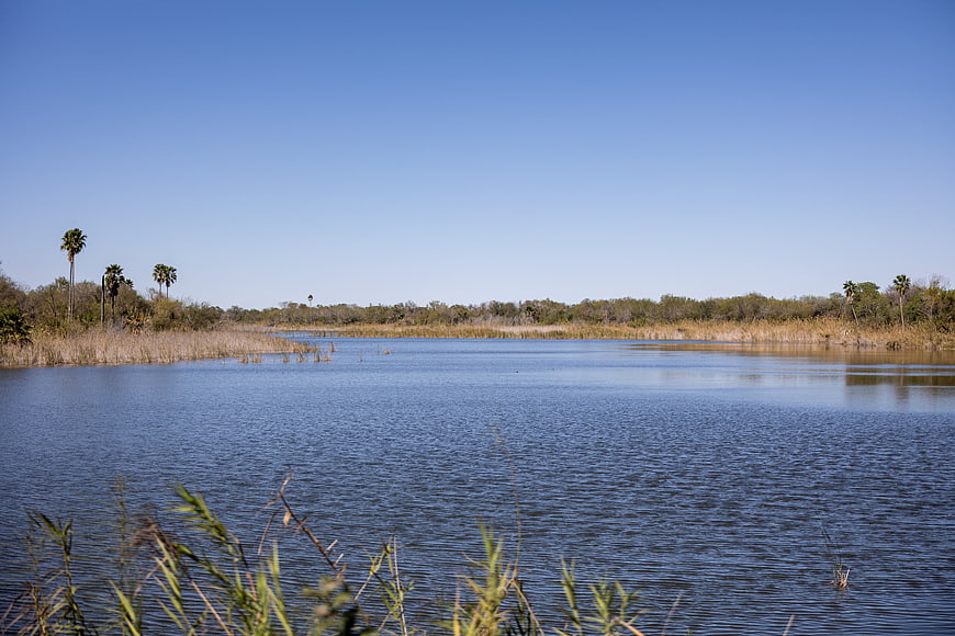 Serene Lake Landscape with Palm Trees and Blue Sky