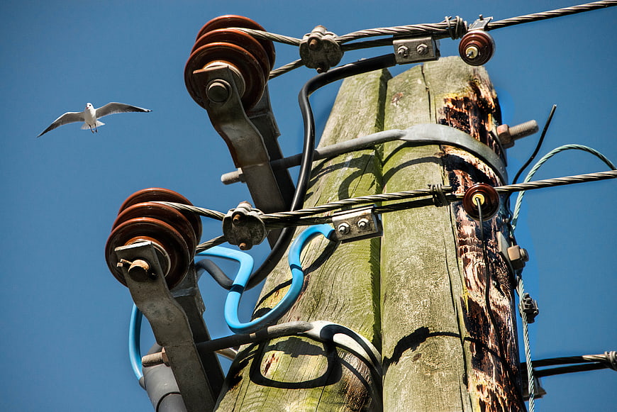 Weathered wooden utility pole with ceramic insulators and a flying seagull