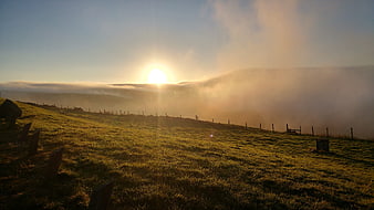 Golden sunrise over misty green hillside landscape