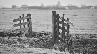 Rustic wooden fence in a frosty rural field