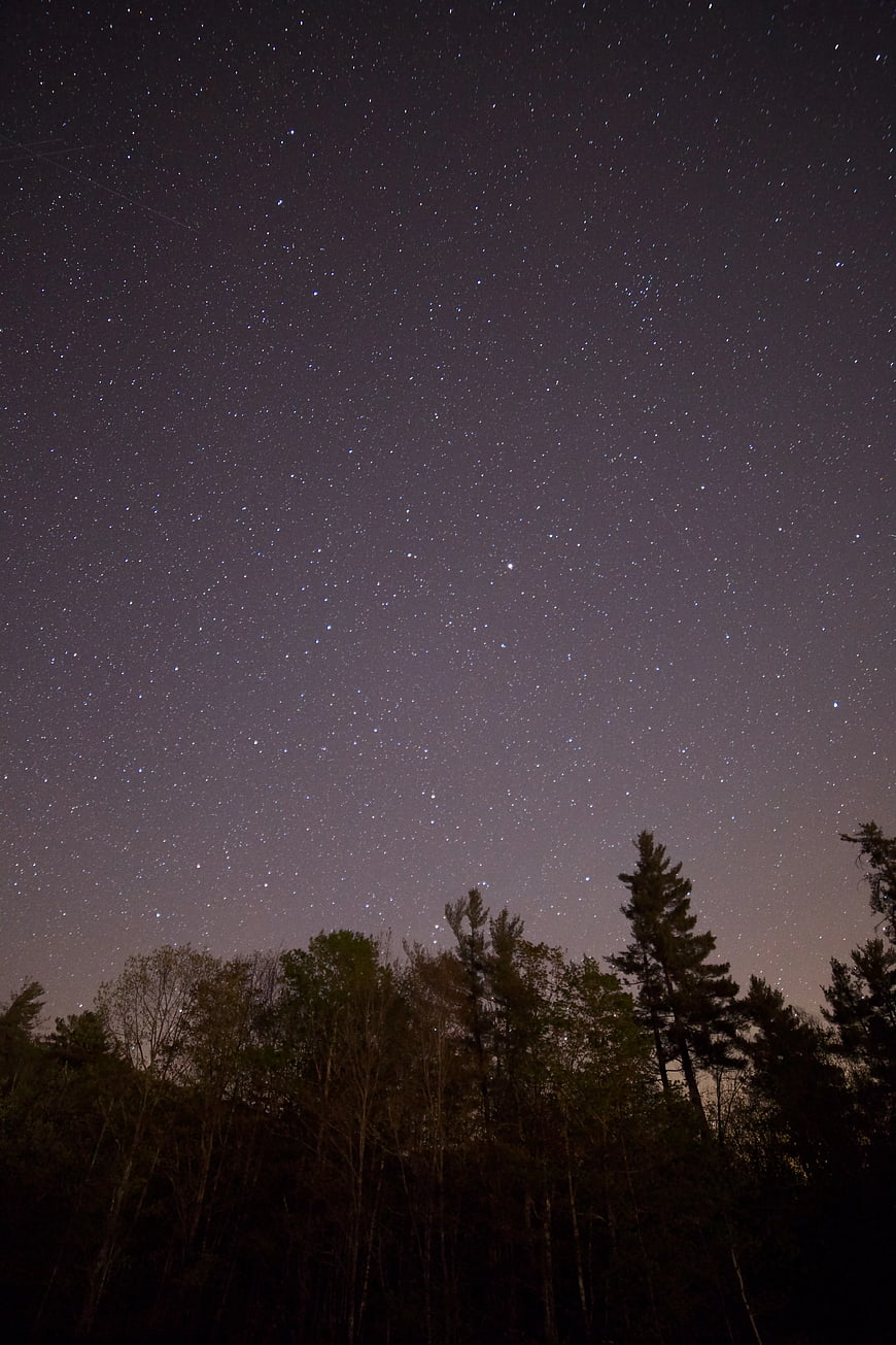 Starry Night Sky Over Dark Forest Silhouette