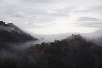Misty autumn forest landscape with fog rolling over mountains