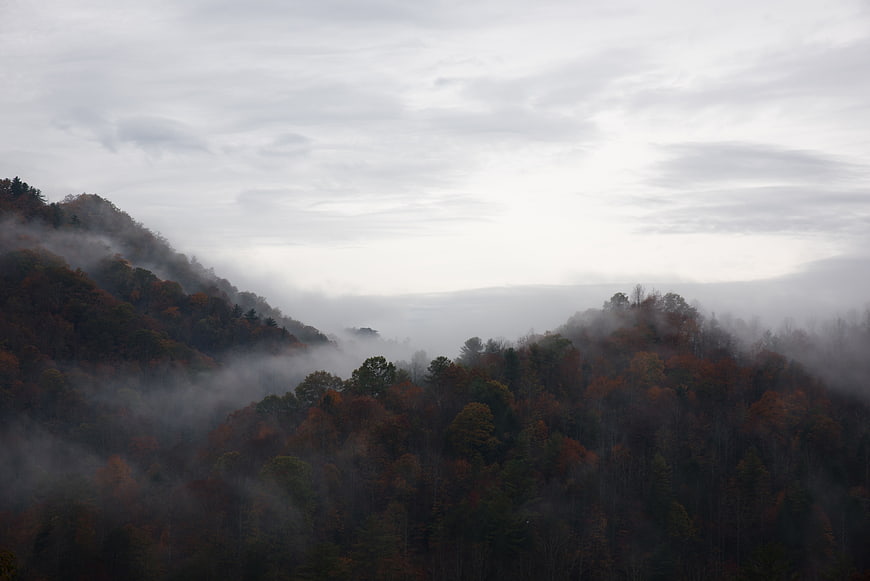 Misty autumn forest landscape with fog rolling over mountains