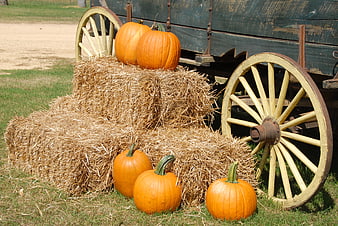 Autumn pumpkins on hay bales next to vintage wooden wagon wheel