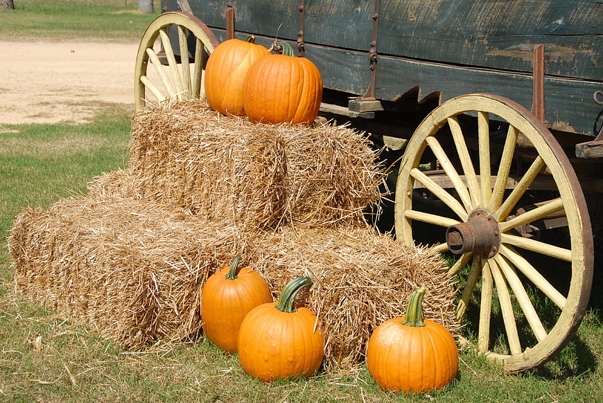 Autumn pumpkins on hay bales next to vintage wooden wagon wheel