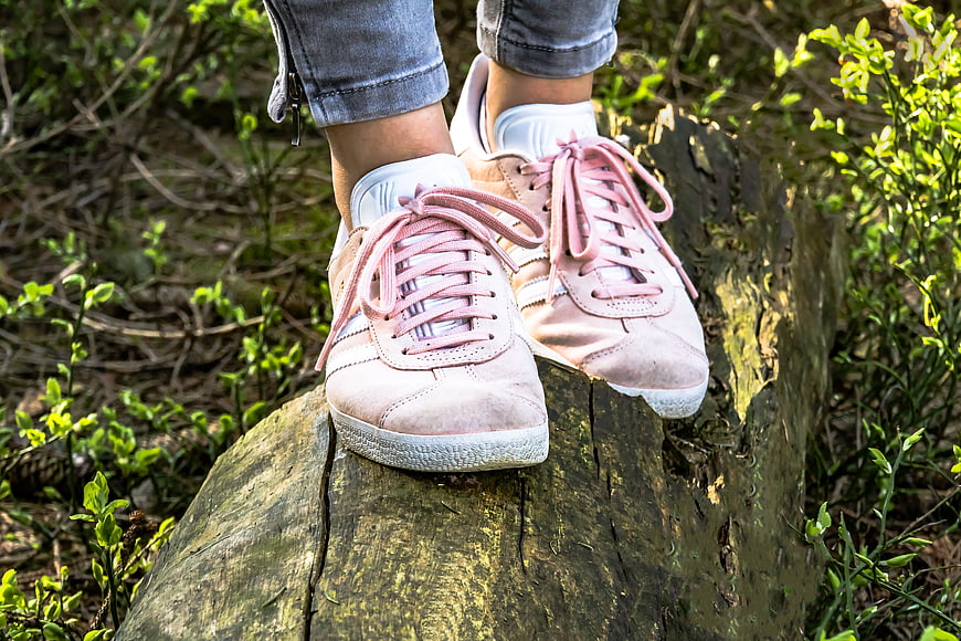 Pink sneakers on a tree stump in a forest