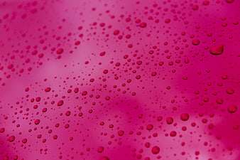 Vibrant Pink Water Droplets on Smooth Surface