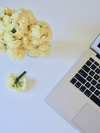 Minimalist workspace with yellow flowers and laptop