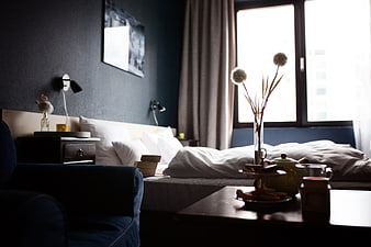 Cozy Hotel Room Interior with Breakfast and Blue Sofa