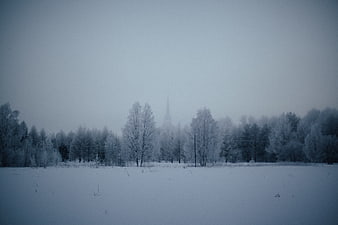 Foggy Winter Landscape with Snowy Trees and Distant Church Spire