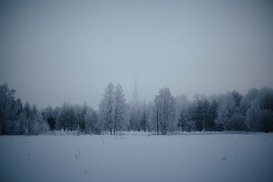 Foggy Winter Landscape with Snowy Trees and Distant Church Spire