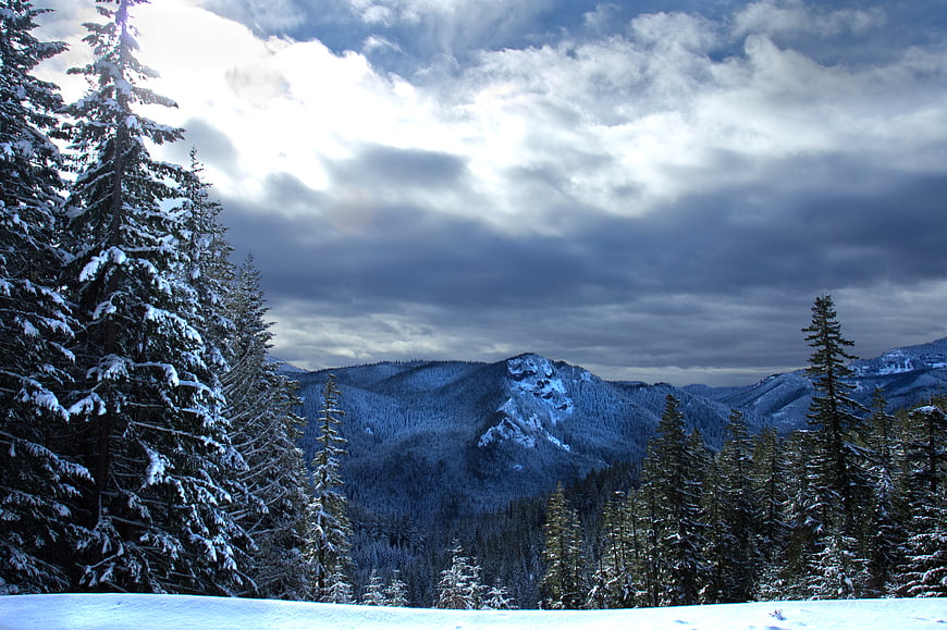 Snowy Mountain Landscape with Pine Trees and Cloudy Sky