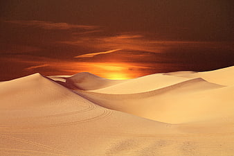 Golden Sunset Over Rolling Sand Dunes in Desert Landscape