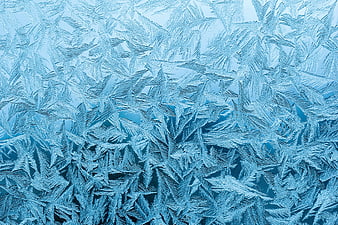Frost Flower Pattern On Icy Blue Surface