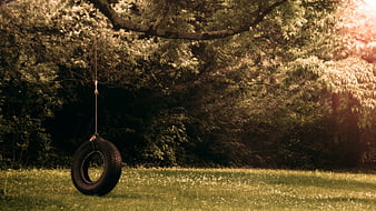 Rustic tire swing hanging from tree in sunlit grassy yard