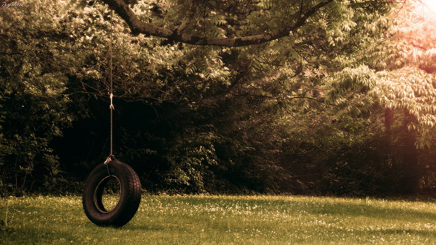 Rustic tire swing hanging from tree in sunlit grassy yard