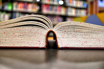 Close-up of Open Book with Red Speckled Pages in Library