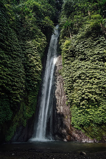 Tall waterfall cascading through lush green tropical jungle forest