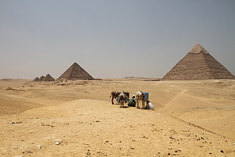 Camel Caravan in the Desert with Pyramids of Giza in the Background