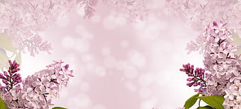 Soft Pink Lilac Flowers with Bokeh Background