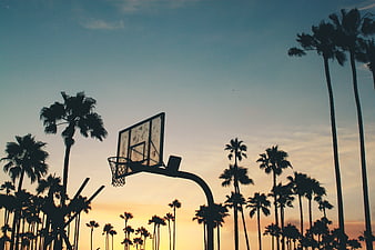Silhouette of Basketball Hoop and Palm Trees at Sunset
