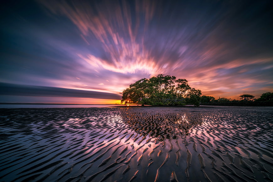 Dramatic Sunset Over Rippled Sand and Mangrove Trees