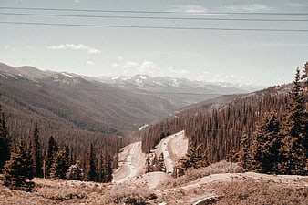 Vintage mountain highway landscape with winding road and pine forest