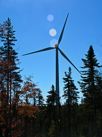 Wind Turbine Silhouette in Autumn Forest