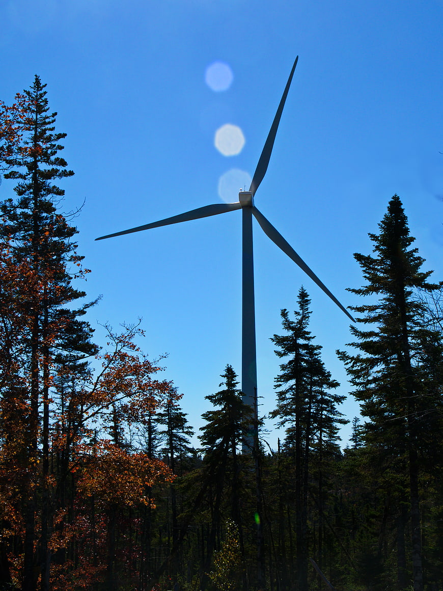 Wind Turbine Silhouette in Autumn Forest