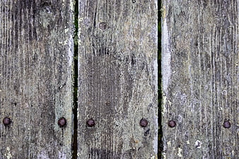 Weathered wooden planks with rusty nails texture background