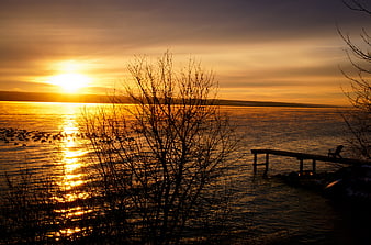 Golden Sunset Over Lake with Silhouetted Dock and Trees