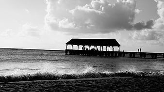 Black and white silhouette of pier on beach with waves