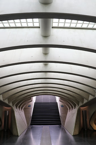 Modern Concrete Staircase with Arched Ceiling