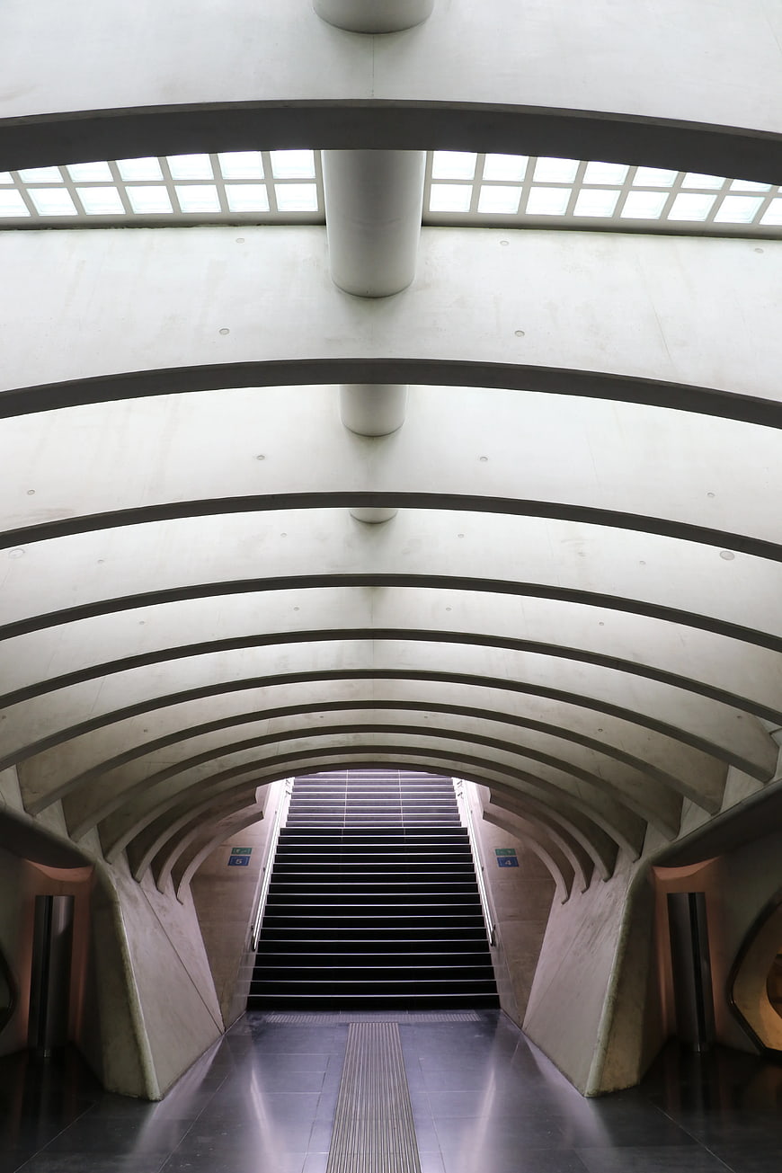 Modern Concrete Staircase with Arched Ceiling