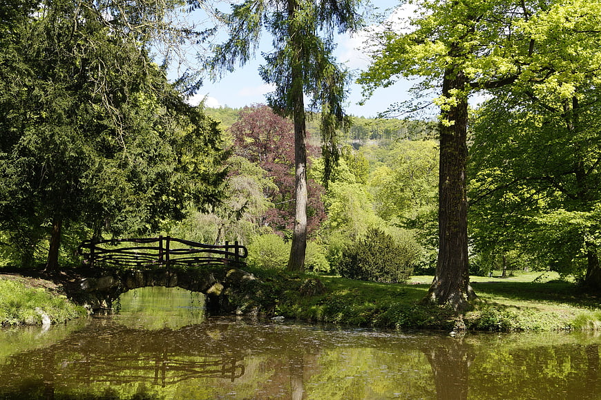 Rustic wooden bridge over a serene pond in a lush green park