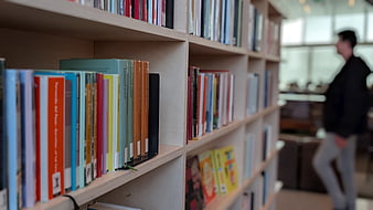 Colorful books on wooden shelves in a modern library