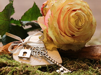 Vintage Rose, Key, and Padlock Still Life on Moss
