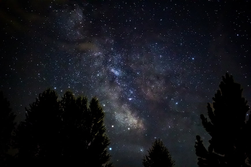 Milky Way Galaxy Over Silhouetted Pine Trees at Night