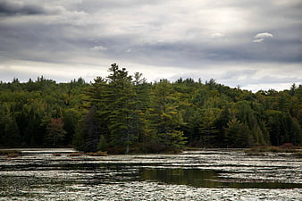Serene Lake with Lush Green Forest Under Cloudy Sky