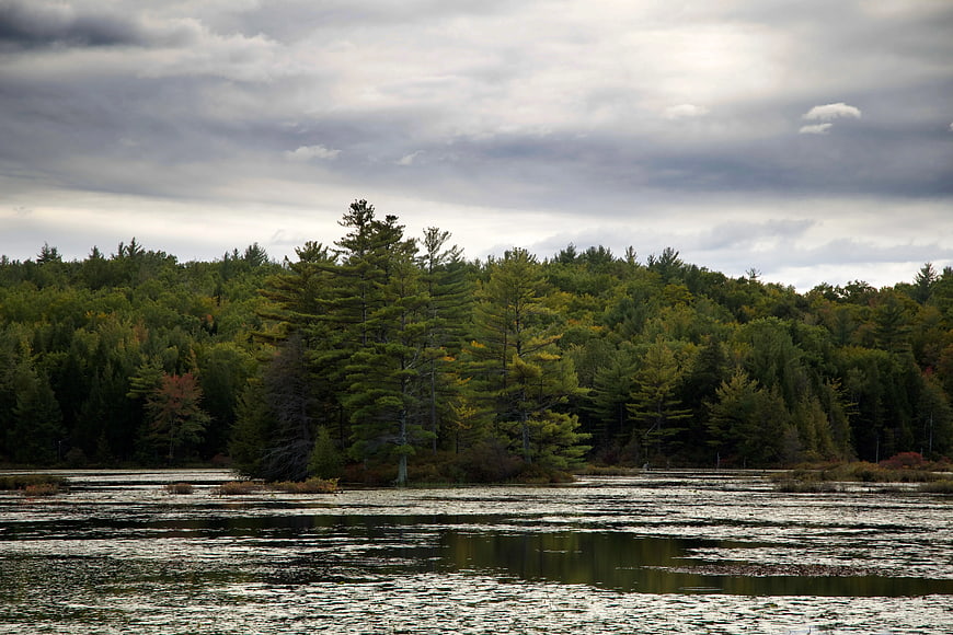 Serene Lake with Lush Green Forest Under Cloudy Sky