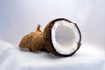 Fresh Coconut Cut in Half on White Background