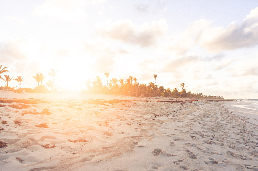 Sunlit Tropical Beach with Palm Trees and Sand