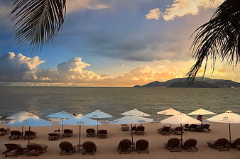 Tropical Beach Sunset with Palm Leaves and Lounge Chairs