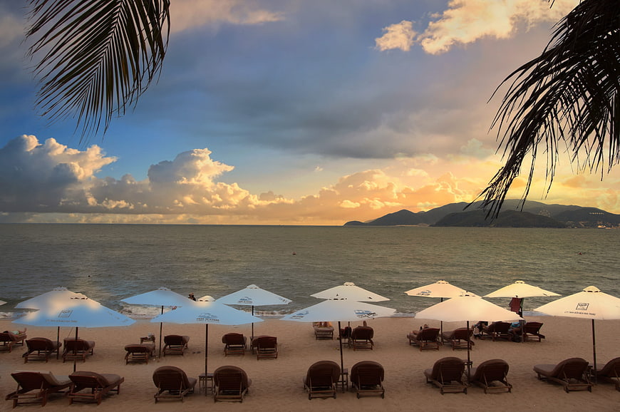Tropical Beach Sunset with Palm Leaves and Lounge Chairs