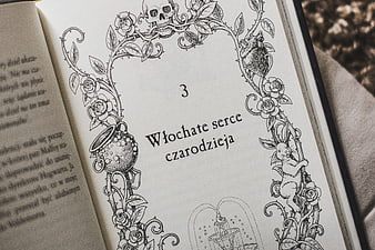 Open Book Page with Intricate Black and White Illustrations
