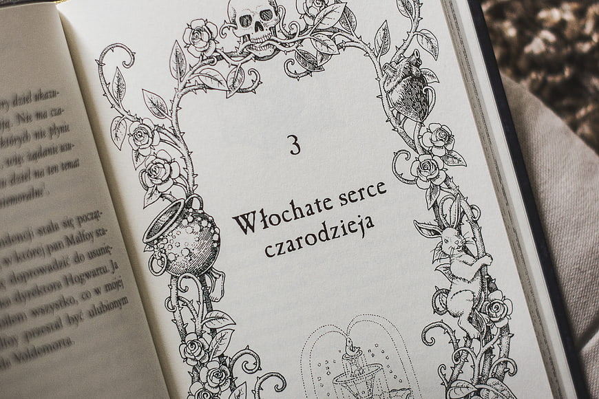 Open Book Page with Intricate Black and White Illustrations