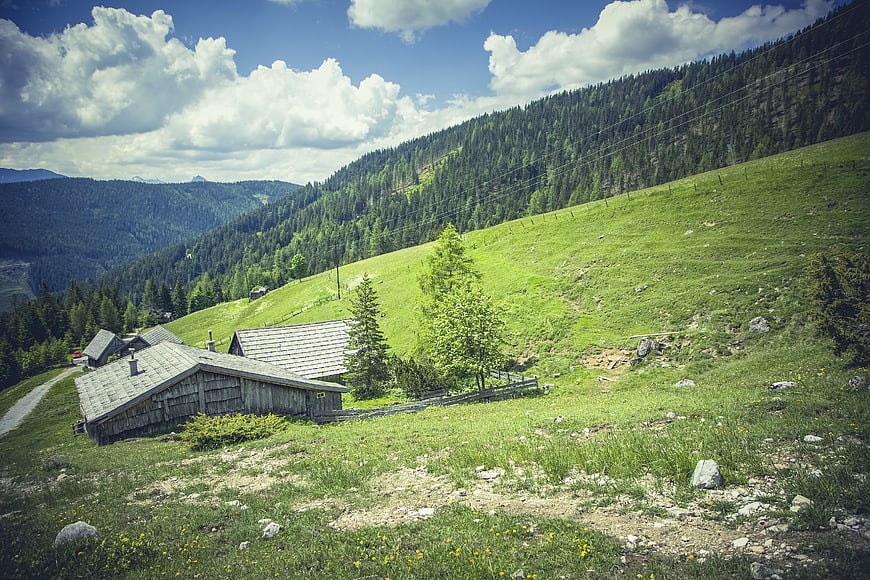 Rustic Log Cabin In Alpine Meadow With Forested Mountain Slopes